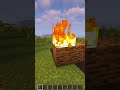 Minecraft : Reality Vs Realistic #shorts