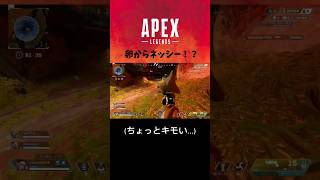 卵から出てくるネッシー#apex#エイプリルフール #games