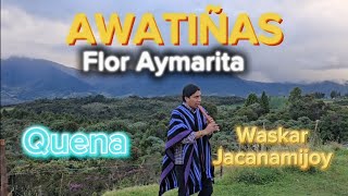 AWATIÑAS Flor Aymarita | Waskar Jacanamijoy cover en quena