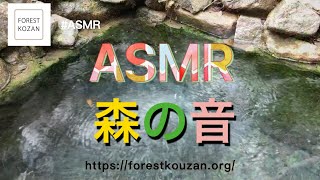 【落ち葉を踏む音】男子高校生、ひとり散歩　＃森の中＃ASMR『今日のふぉれすと鉱山だより　VOL15』