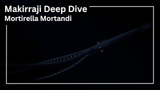 Makirraji Deep Dive | Mortirella Mortandi