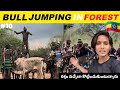 BIGGEST MARRIAGE CEREMONY IN FOREST |BULL JUMPING OF HAMER TRIBE |TELUGU YATRI IN ETHIOPIA 🇪🇹