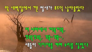 철새 관찰하면서 힐링하기 좋은 곳 ‘동판저수지“/ 동판저수지 둘레길 한 바퀴 [외일드포커스]