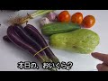 541。60代70代でもできる記憶術 40歳差！家建設76！philippine dream gardenフィリピンドリームガーデン