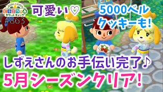 【ポケ森】あじさいのフォトスポットゲット！5月シーズンも無事クリア♪5000ベルクッキーも食べるよ【どうぶつの森ポケットキャンプ】 無課金