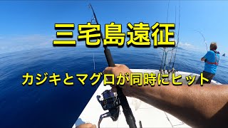 カツオ、マグロ釣り　三宅島遠征　ヤンマーEX  プレジャーボート