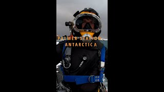 Commercial Diving Antarctica