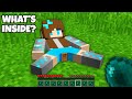 I found the MOST SECRET BASE INSIDE THE DIAMOND GIRL in Minecraft ! NEW SECRET TINY DOOR !