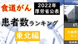 【病院】食道がんの患者数ランキング-東北編