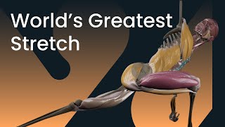 World’s Greatest Stretch: Full-Body Mobility in Motion