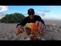 🔥 catching giant crabs on the beach – cooking fresh crab with coconut sauce 🦀🌊