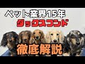 【犬７頭と暮らすおっさん】ダックスマニアがダックスを語る