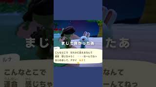 テンションの差が激しすぎるうさぎ【あつ森｜離島ガチャ】