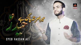 Mera Murshad Pak Hai Haider - Syed Hassan Ali | New Qasida 2020 | Qasida Mola Ali a.s