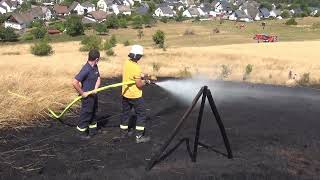 Großer Flächenbrand bei Pluwig- 10 Hektar verbrennen