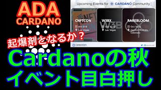 【カルダノADA 10万円勝負!】20221008  第1297話  Cardano秋のイベント目白押し！　863,195円（+763.2％）