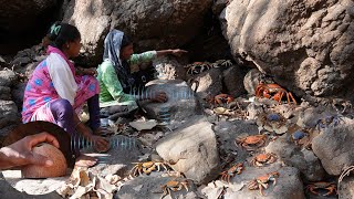 आज गेले डोंगरावर दळून खेकडे पकडायला,खेकडे भरून चुलीवर बनवलं कालवण