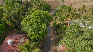 View of Panamanna south village in Summer