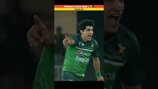 Pakistan Cricket Team |By Hamid Ali| #shorts #facts #cricketshorts