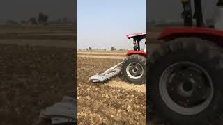 Massey 2635 on 19 tine cultivator