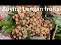 Longan fruits.