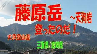 鈴鹿セブンマウンテン６座目になる藤原岳に登りました！