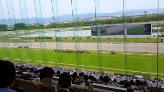 2016/05/01　第153回天皇賞(春)　京都競馬場