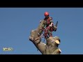 Fastest Big Chainsaw Cutting Tree Machines Skills, Incredible Tree Felling Climbing With Chainsaw