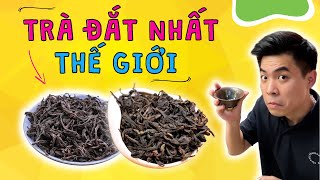 Thử trà đắt nhất thế giới, Pit đòi nghỉ việc - | Đàm Đức Review #damducreview #damduc