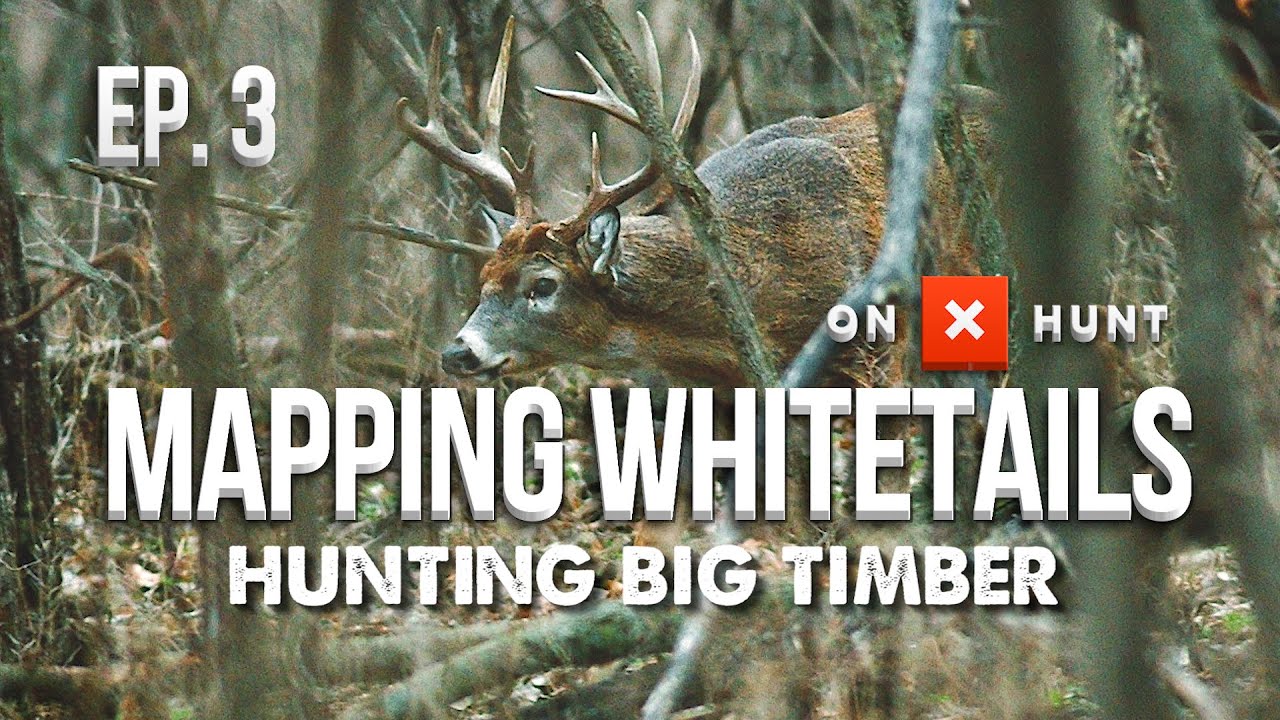 HOW TO HUNT BIG WOODS BUCKS! - Mapping Whitetails - YouTube