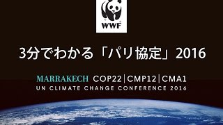 3分でわかる！パリ協定　2016