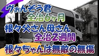 追突事故発生！信号待ちで追突されました　ヴぉんぞう君全治６ヶ月、根々父さん母さんは全治２週間、根々ちゃん無敵の無傷です