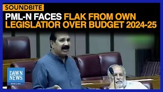 Full Speech: PML-N Faces Flak From Own Legislatior Over Budget 2024-25 | Dawn News English