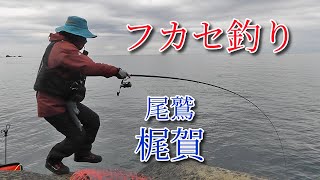 【グレ釣り】釣り歴４０年が梶賀の磯でフカセ釣り（後編）