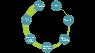 The research data life cycle