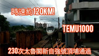 時速約120km!230次太魯閣自強號頂埔通過#太魯閣號 #temu1000 @railways_0822 @panaaron4240 @Aaron0416-