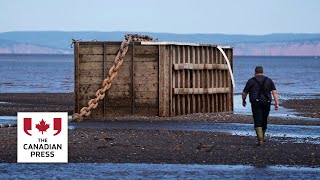 N.S. community calls for removal of huge tidal power moorings left in harbour after bankruptcy