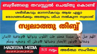 തിരു ഹളർത്തിലേക് സ്വലാത്തു ത്വിബ് 313 വട്ടം #islamic #islamicvideo #swalath