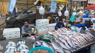 Saki Naka Pipeline Market | Mumbai | India