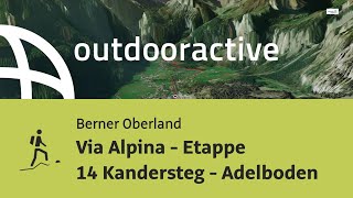 Bergtour im Berner Oberland: Via Alpina - Etappe 14 Kandersteg - Adelboden