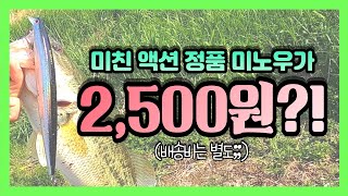 17cm 롱미노우, 눈뽕 지렸다ㅋㅋㅋ (배스낚시)(원태클프리미엄) ㅣEP.81