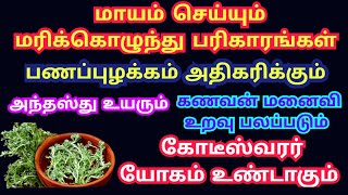 மரிக்கொழுந்து பரிகாரம்#marikolunthupariharam#marikozhunthu