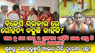 ବିଜେପି ସରକାର ରେ ଗୌହତ୍ୟ ବଢୁଛି କାହିଁକି?ଶୁଣନ୍ତୁ କଣ କହୁଛନ୍ତି ଆଇନ୍ ଯିବି ସୁରେଶ ପଣ୍ଡା! Cow Slaughter in BJP