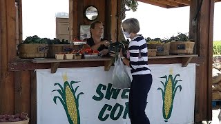 Brooklyn Park Roadside Stand Offers Fresh Produce