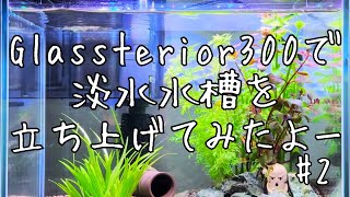 【Glassterior300】淡水水槽立ち上げてみたよー ＃２【アクアリウム初心者】