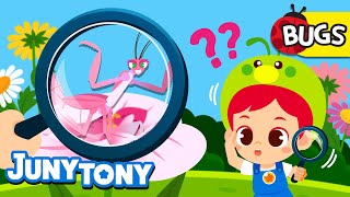 Insect Camouflage | Can you see me? | Cutie-crawlies! Insect Songs for Kids | JunyTony