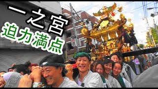 29年  三鷹八幡大神社  例大祭  本社神輿　一之宮町内半端無い渡御。