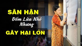 Tâm Sân Hận Và Phương Pháp Hóa Giải Sự Sân Hận| Tuệ An