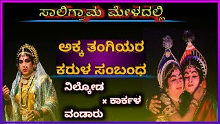 Saligrama mela Yakshagana||ಸಾಲಿಗ್ರಾಮ ಮೇಳ ಯಕ್ಷಗಾನ||ಬಿಚ್ಚುಗತ್ತಿ ಭರಮಣ್ಣ || bicchugatti bharamanna||