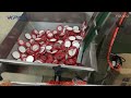 máquina de enchimento com pistão de molho de tomate de 6 cabeças totalmente automática